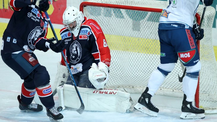Medveščak do važne pobjede protiv Mađara za povratak na pobjedničke staze