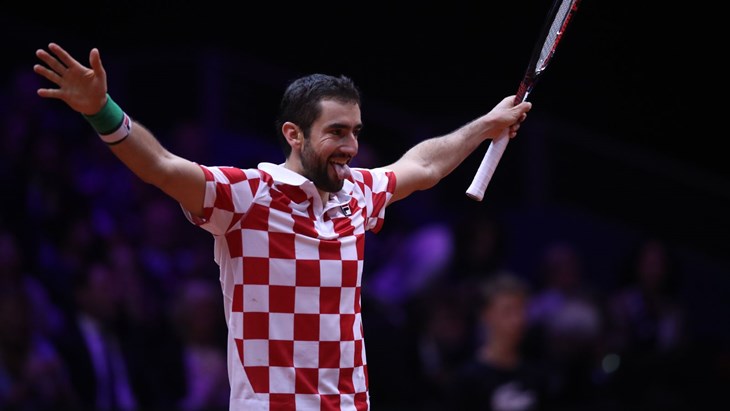 FANATIK: Trenutak kada je Marin Čilić donio treći bod Hrvatskoj