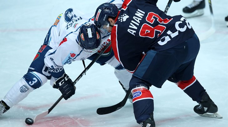 Novi udarac za Medvjede, otišli Aaron Fox i njegov stručni stožer