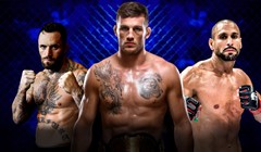 German MMA Championship spektakl u subotu na RTL playu