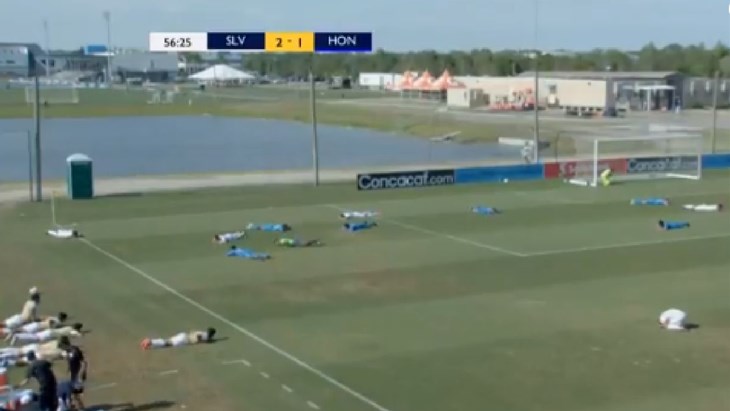 FANATIK: Roj pčela nakratko prekinuo utakmicu