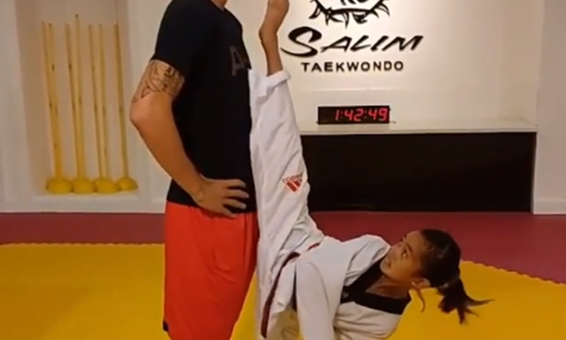 FANATIK: Zlatan nije niti trznuo