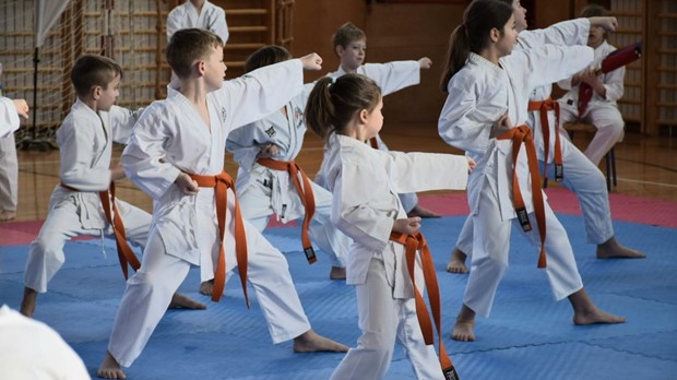 Više od 500 mladih karatista nastupilo na 32. karate kupu Mladosti u Ivanić-Gradu