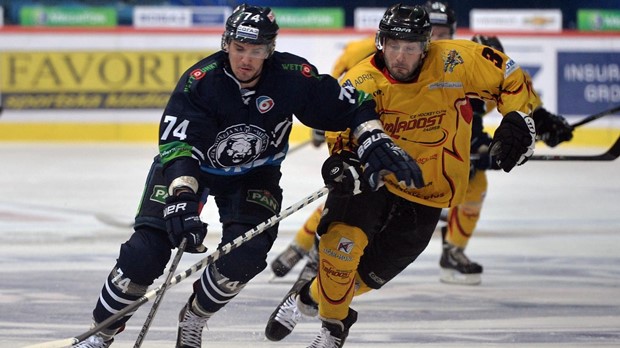 KHL Mladost nada se nastupu u Continental Cupu u narednoj sezoni