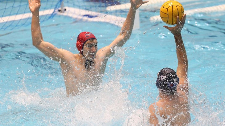 Ivan Krapić seli u Francusku, možda mu se pridruži i Ivan Marcelić