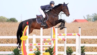 FEI World Cup Zagreb: Svjetska elita preponskog jahanja vraća se u Zagreb nakon 18 godina