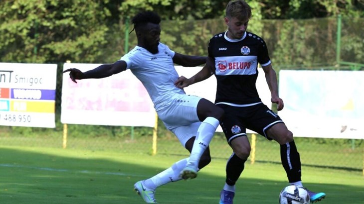 Plemeniti veznjak Slavena za stalno preselio u Rudeš