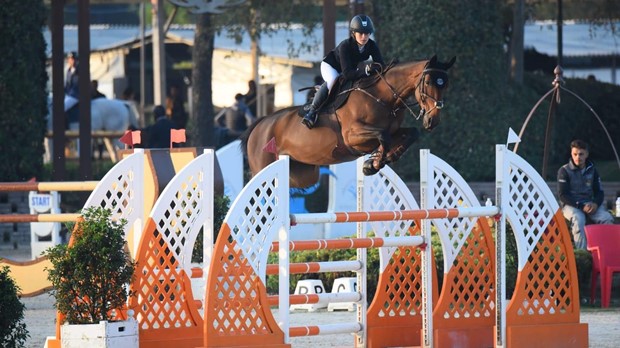 Tri hrvatske reprezentativke nastupile na jakom konjičkom turniru u Cattolici