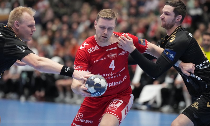Palmarsson iz osobnih razloga na kraju sezone napušta Aalborg i vraća se na Island
