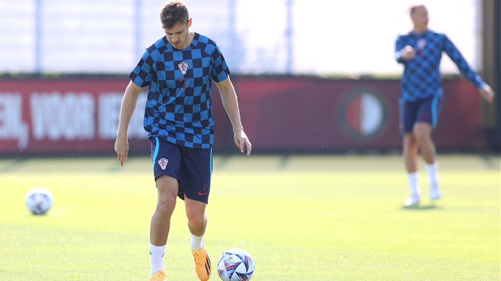 Stanišić: 'Opet me čeka ludnica, Njemačku trese nogometna euforija, naše navijače pogotovo'