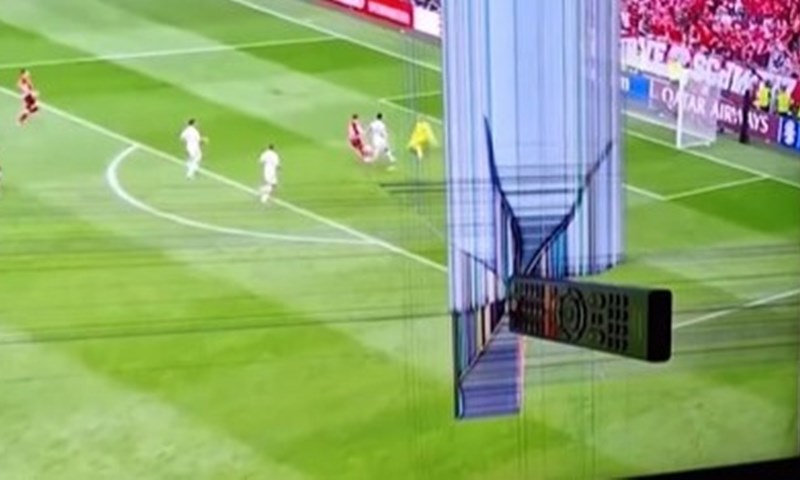 Mađarima nije išlo pa je jedan od navijača na rijetko viđen način uništio TV