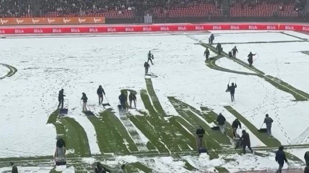 Ovako Švicarci rješavaju problem snježnog pokrivača na travnjaku