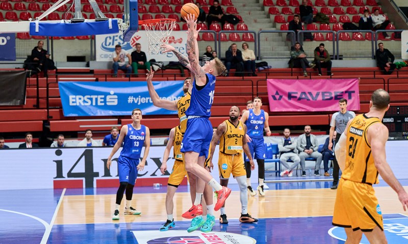 Cibona u ponedjeljak kod Zvezde, Šamanić najavljuje: 'Dat ćemo svoj maksimum i boriti se za pobjedu'