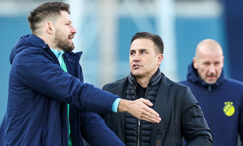 Cannavaro je otkrio da Petković cijele dane provodi u klubu kako bi se što prije vratio na teren