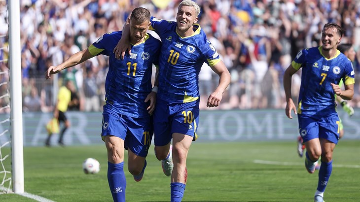 Edin Džeko nastavit će karijeru u redovima Schalkea