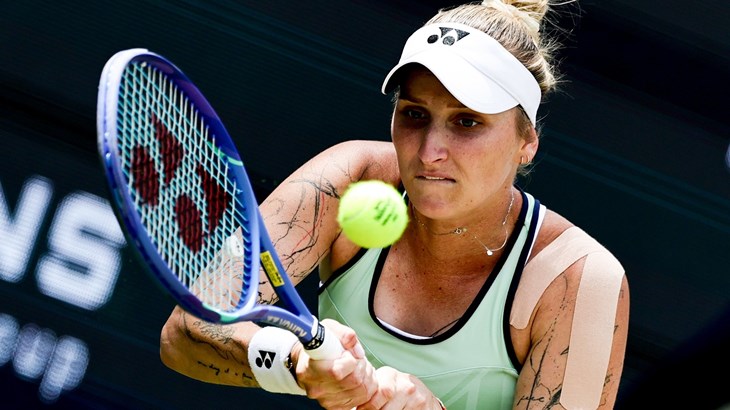 Vondroušova nadigrala prvu igračicu svijeta, u finalu je čeka Kineskinja