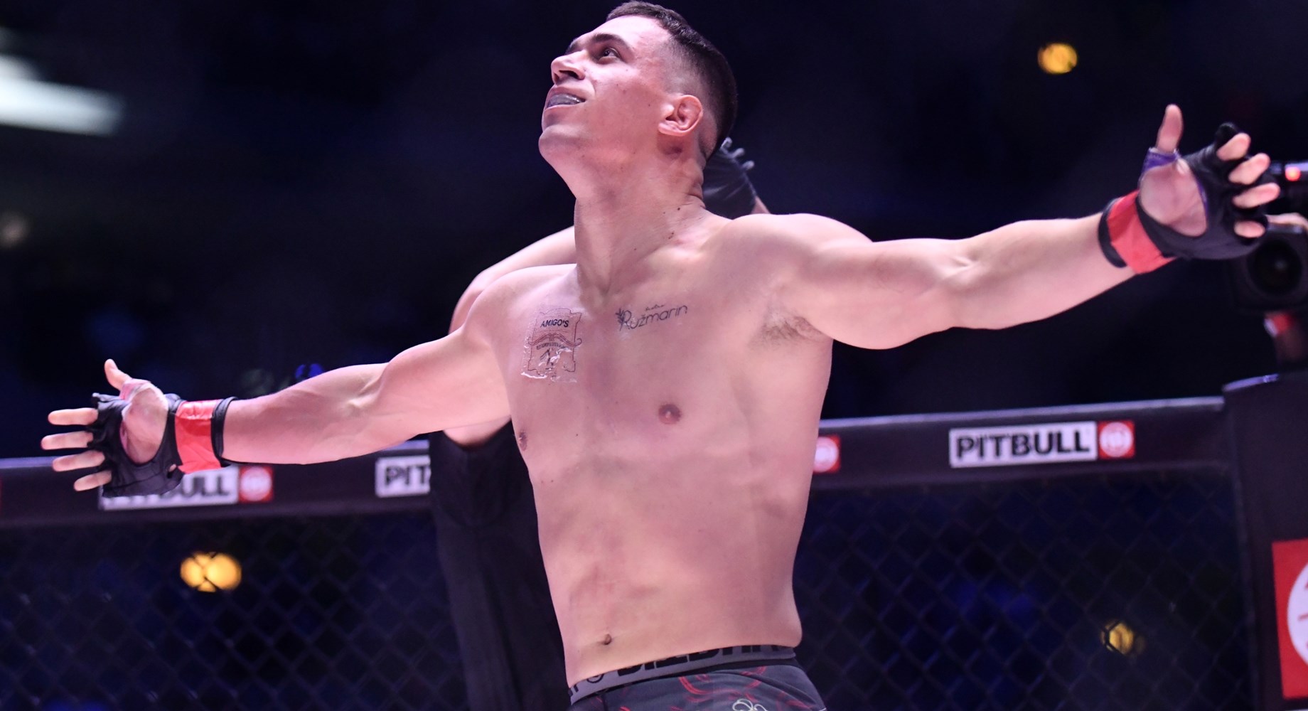Barbir: 'UFC poraz došao je kao blagoslov, bit ću maksimalno spreman za Ilića'