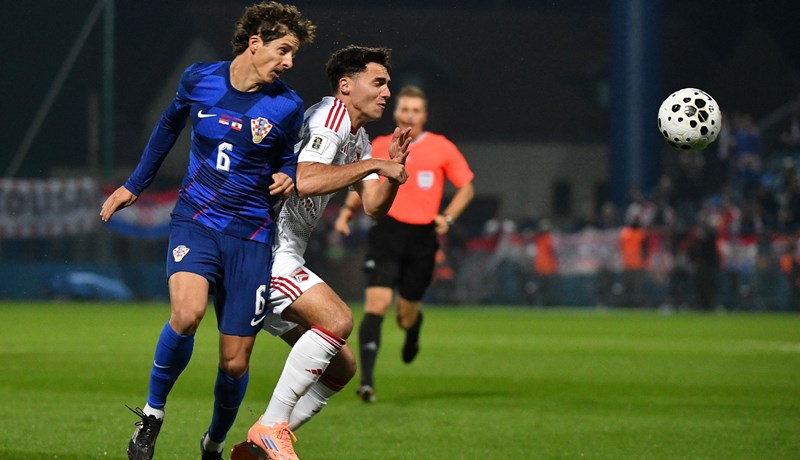 Domagoj Bradarić ostao bez trenera, Verona traži novog stratega