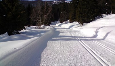 Klaebo 12. u masovnoj utrci, ali ipak odnio ukupnu pobjedu na Tour de Ski