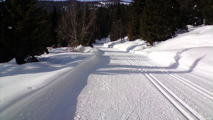 Klaebo 12. u masovnoj utrci, ali ipak odnio ukupnu pobjedu na Tour de Ski