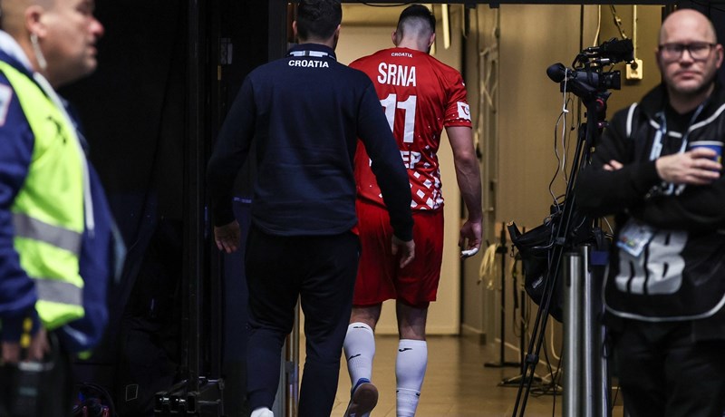 HRS potvrdio: Srna teže ozlijeđen, za njega je Europsko prvenstvo završeno