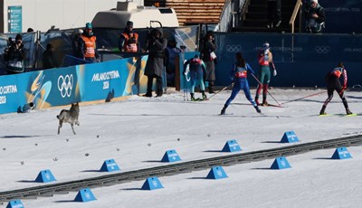 Hadžić: 'Jedna Norvežanka rekla mi da smo kod njih u novinama glavne priče Klaebo i ja'
