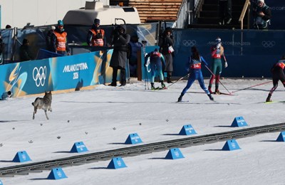 Hadžić: 'Jedna Norvežanka rekla mi da smo kod njih u novinama glavne priče Klaebo i ja'