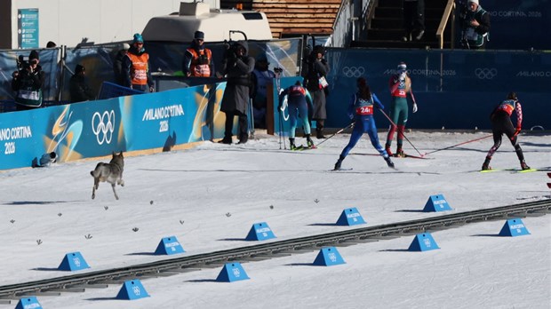 Hadžić: 'Jedna Norvežanka rekla mi da smo kod njih u novinama glavne priče Klaebo i ja'