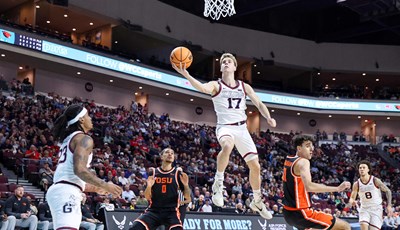 Divlje mačke grebu, paunovi lete, šuteri šutiraju