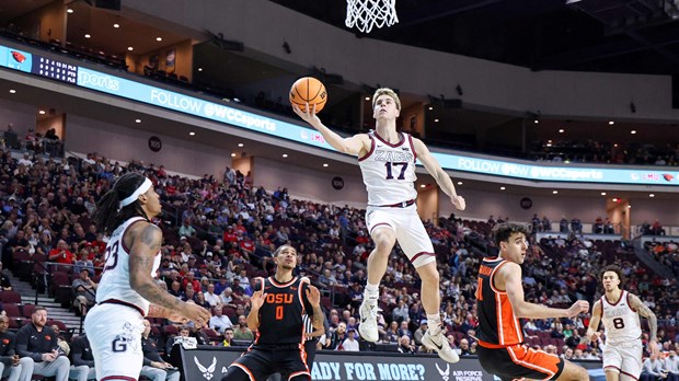 Divlje mačke grebu, paunovi lete, šuteri šutiraju