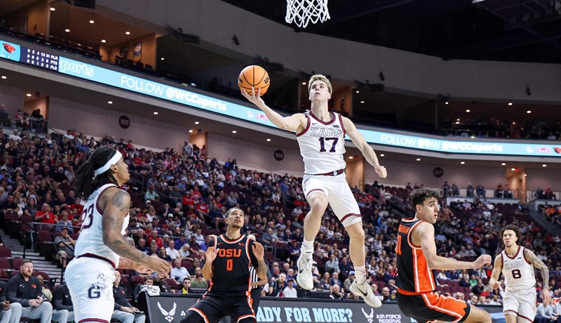 Divlje mačke grebu, paunovi lete, šuteri šutiraju