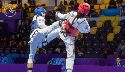 Dragan Primorac novi predsjednik Hrvatskog taekwondo saveza