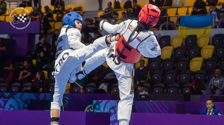 Dragan Primorac novi predsjednik Hrvatskog taekwondo saveza
