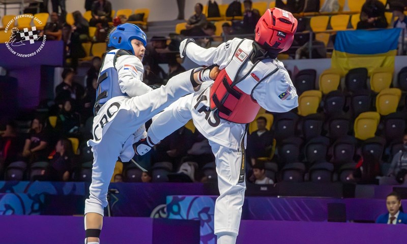 Dragan Primorac novi predsjednik Hrvatskog taekwondo saveza