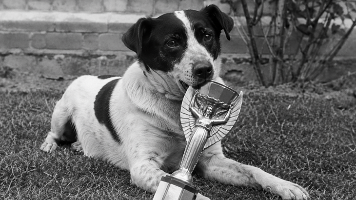 Priča o Picklesu, psu koji je 'spasio' SP 1966. - pronašao je trofej koji je kasnije opet ukraden