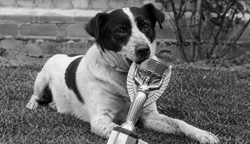 Priča o Picklesu, psu koji je 'spasio' SP 1966. - pronašao je trofej koji je kasnije opet ukraden