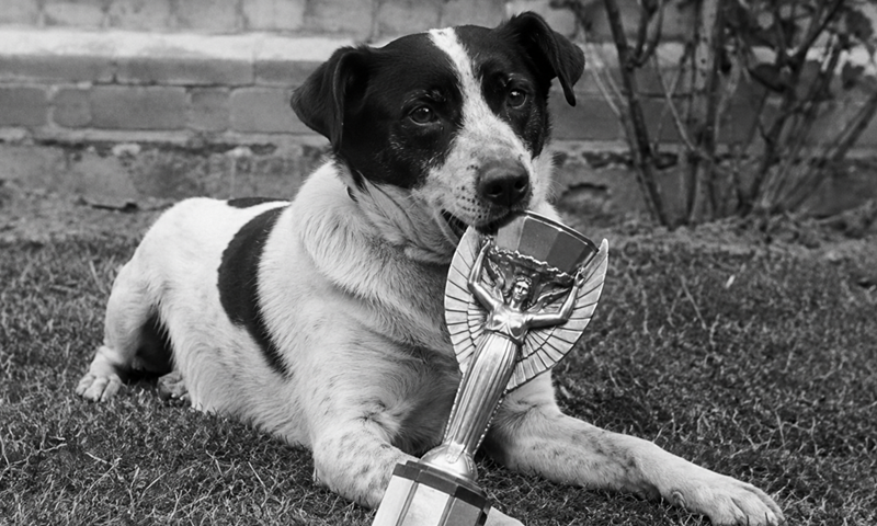 Priča o Picklesu, psu koji je 'spasio' SP 1966. - pronašao je trofej koji je kasnije opet ukraden