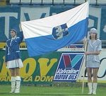 Slika 1 od 1.